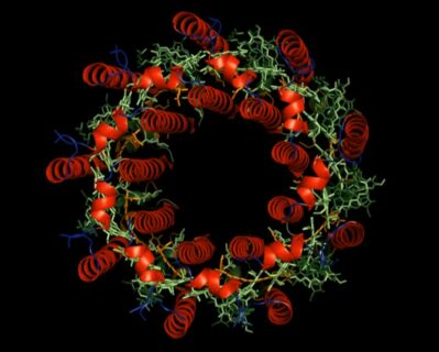 Zum Artikel "“Tetrapyrroles in Materials Science“-Symposium"