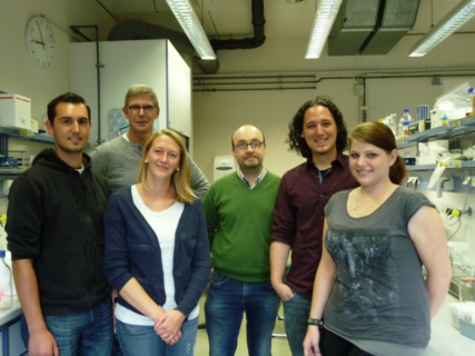 Die Forschergruppe von Dr. Costa und Prof. Dr. Sonnewald v.l.n.r.: Michael Weber, Uwe Sonnewald, Marlene Proeschel, Pedro B. Coto, Rubén D. Costa, Martina Lang (Foto: Lukas Niklaus)