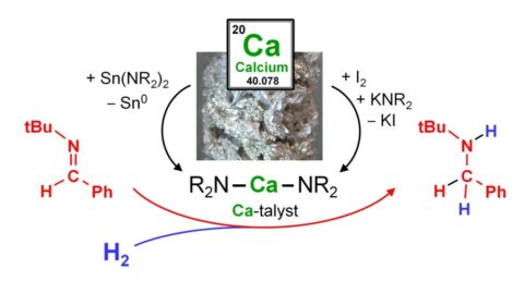 Foto zeigt Katalyse mit Kalzium