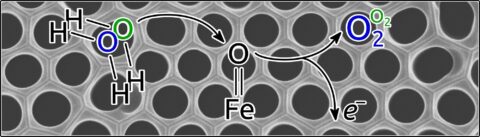 Einem interdisziplinären Team von FAU-Forschern und der University of Connecticut ist es gelungen, mit einer neuartigen Analysemethode von Sauerstoff-Isotopen chemische Reaktionen während der Wasserelektrolyse besser zu verstehen. (Grafik: FAU/Sandra Haschke )