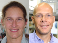 Zum Artikel "Prof. Dr. Büttner und Prof. Dr. Guldi in DFG-Fachgremien gewählt"