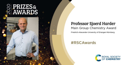 Collage mit dem Portrait von Prof. Dr. Sjoerd Harder und dem Schriftzug, dass er den RSC Award gewonnen hat.