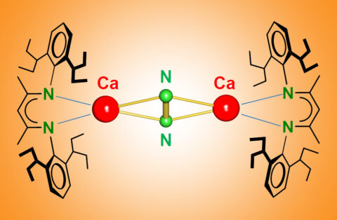 Die Grafik zeigt eine schematische Darstellung von Kalzium, das Stickstoff aufbricht.