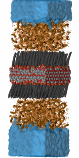 Mithilfe molekularer Simulationen wurde die Anbindung der Nanopartikel (Bildmitte) an Microplastikmodelle (braun) charakterisiert, um zu Verstehen über welche Mechanismen die Abtrennung von der Wasserumgebung (blau) erfolgt. Dadurch entsteht ein Detailwissen über die Prinzipien der molekularen Erkennung, welches gezielte Verbesserungen der Nanopartikel, bzw. deren Oberflächenfunktionalisierung (grau) unterstützt. (Bild: AG Zahn/FAU)