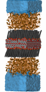 Zum Artikel "Wirksame Methode zur Entfernung von Nano- und Mikroplastik aus Wasser"