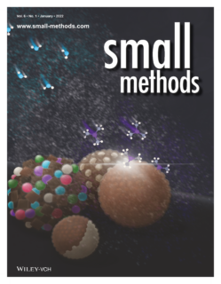 Titel Cover der Zeitschrift "small methods"