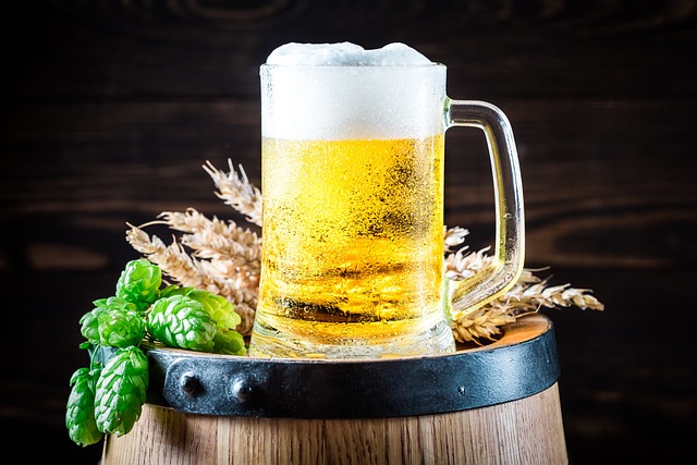 Das Foto zeigt ein Bierfass vor dunklem Hintergrund. Auf dem Bierfass liegen Hopfen und Gerste, davor steht ein Bierkrug aus Glas, der bis oben gefüllt ist mit Bier.