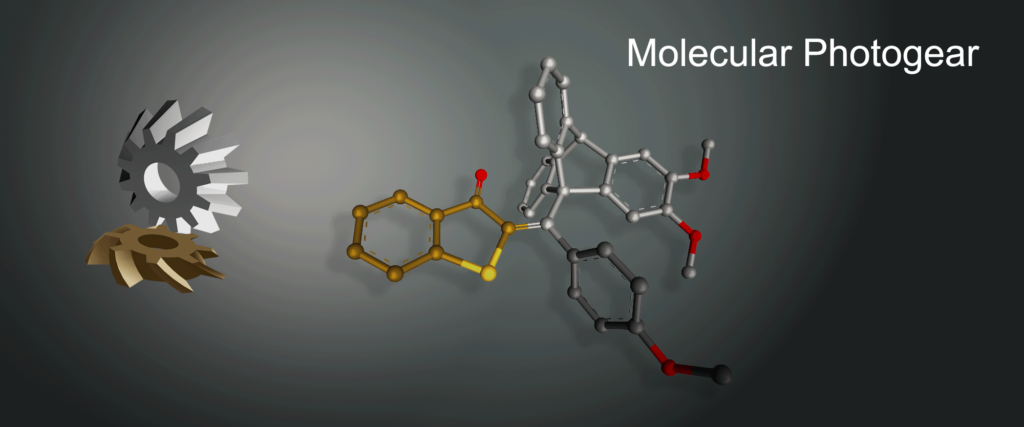 Die Grafik zeigt eine Schemadarstellung von zwei Zahnrädern, die ineinandergreifen. Rechts daneben ist eine Molekülstruktur zu erkennen, die ebenfalls ineinandergreift.