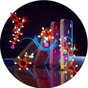 Ein grüner und effizienter Weg zu bioaktiven N-substituierten Dihydropyridinen durch Organoautokatalyse. Diese atomökonomische, dominoähnliche Umwandlung erfordert keinen externen Katalysator und stützt sich auf ein in situ erzeugtes Pyrrolidiniumsalz als selbsterhaltenden Organokatalysator. (Bild: Ella Maru Studio )